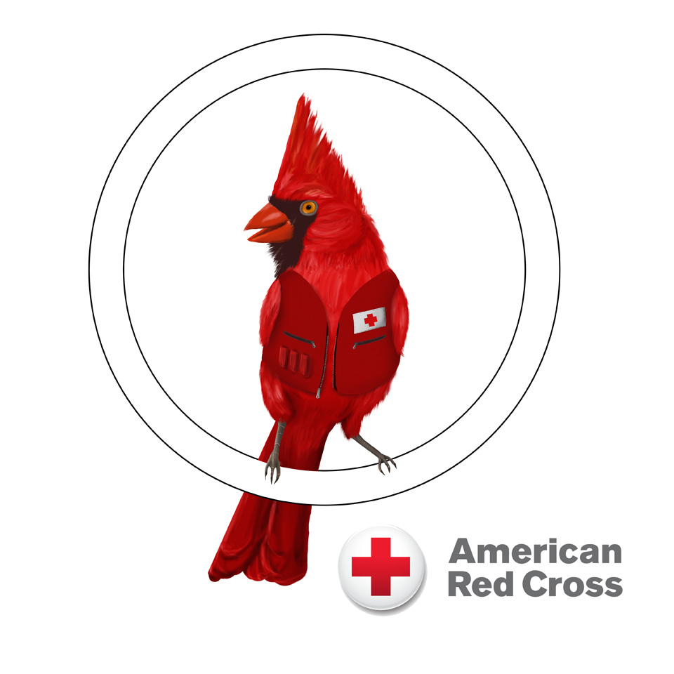 Red Cross Cardinal